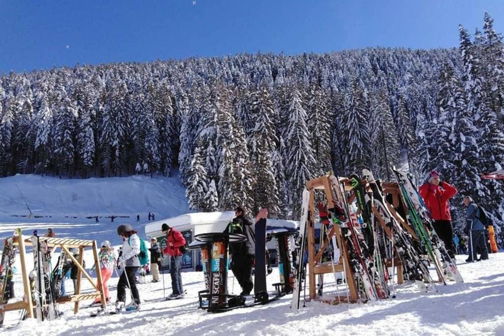 Sunny Studio Apartment - Few Steps From Gondola Bansko Bagian luar foto