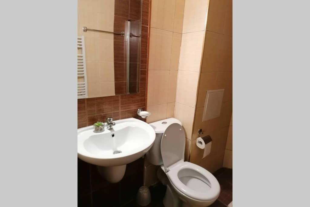 Sunny Studio Apartment - Few Steps From Gondola Bansko Bagian luar foto