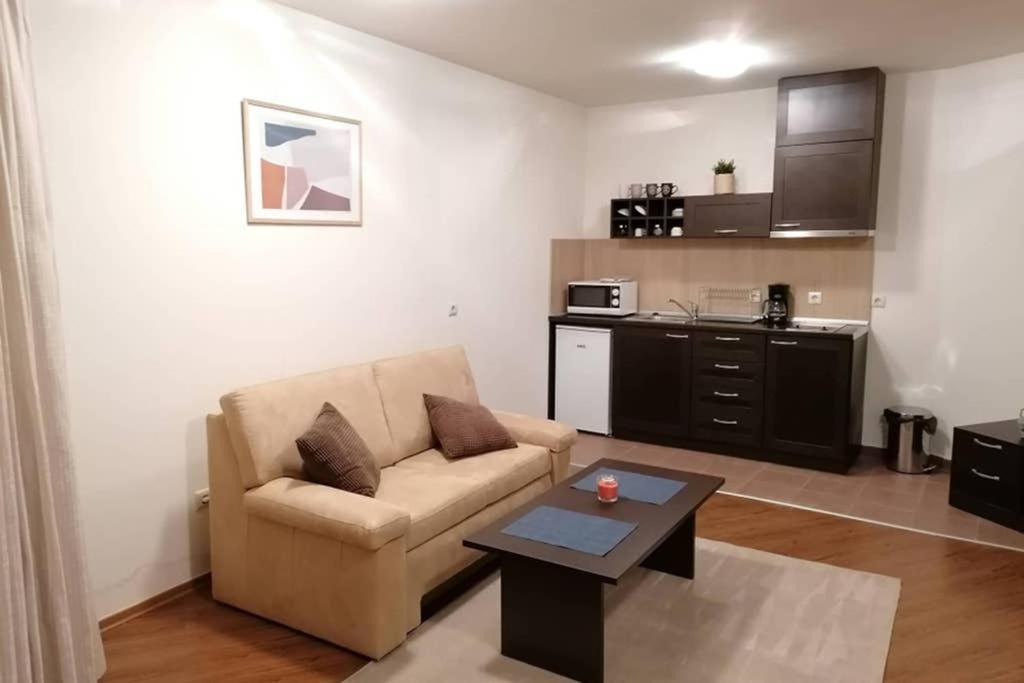 Sunny Studio Apartment - Few Steps From Gondola Bansko Bagian luar foto