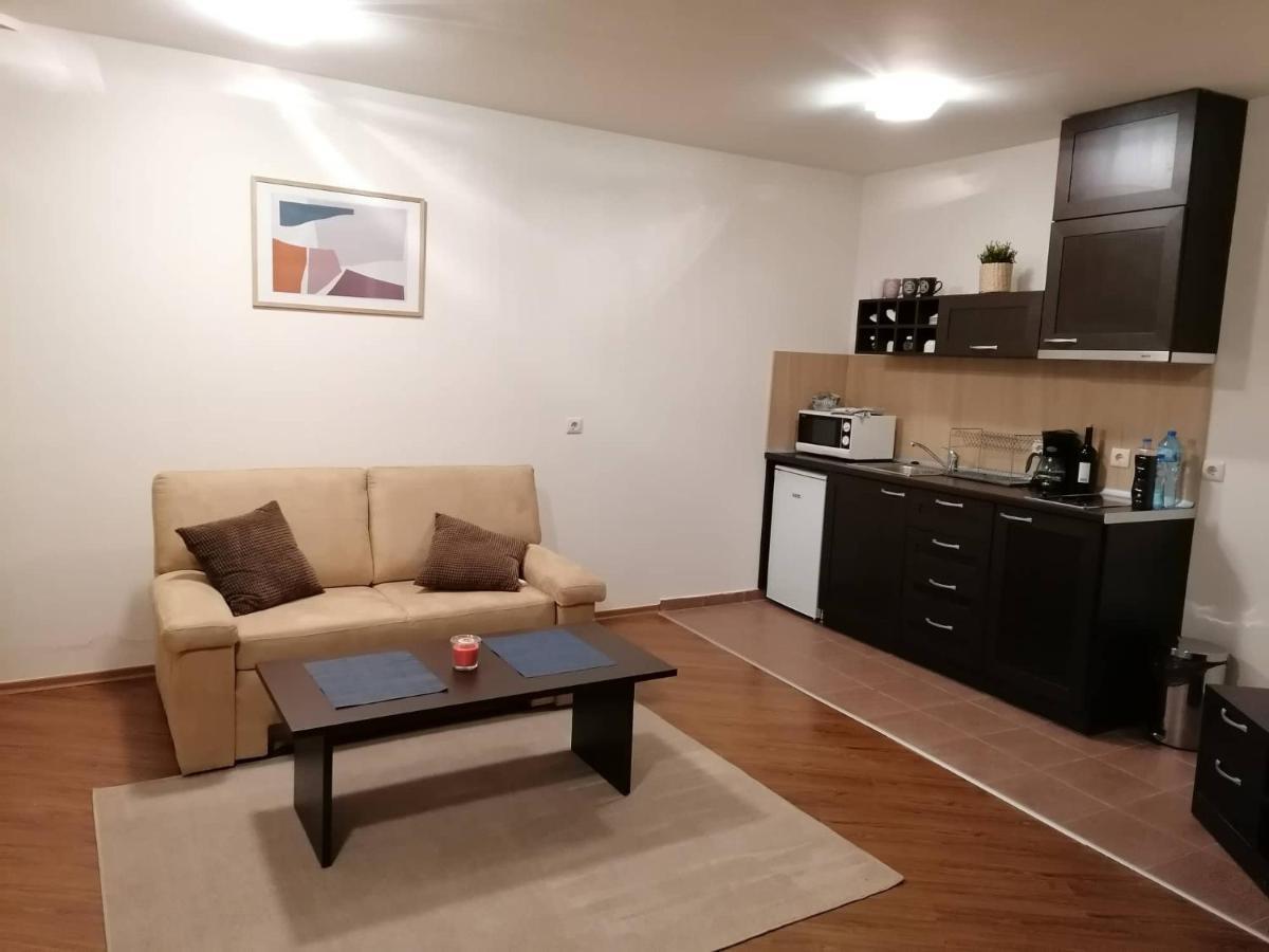 Sunny Studio Apartment - Few Steps From Gondola Bansko Bagian luar foto