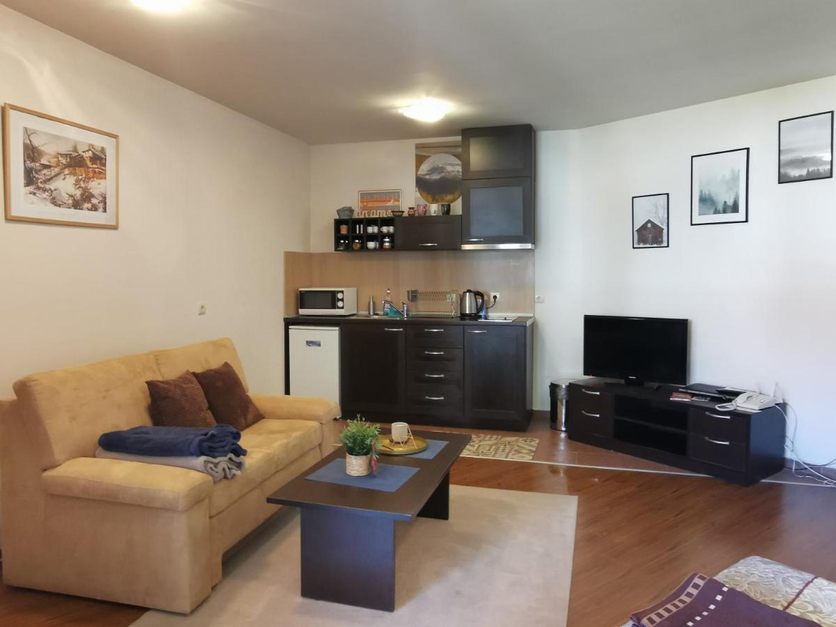 Sunny Studio Apartment - Few Steps From Gondola Bansko Bagian luar foto